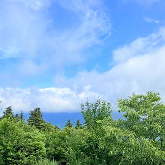 大根地山から
宝満山はずーっと雲の中です☁️