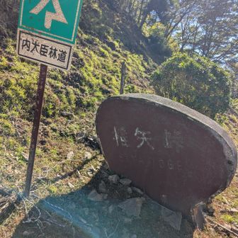 椎矢峠は歩きしか来れない。