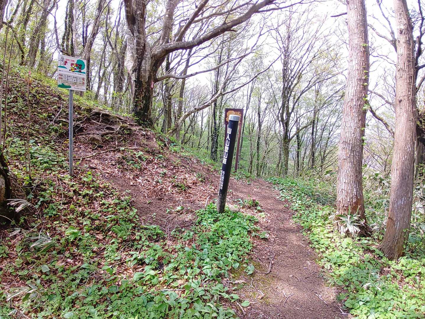 登山口は左の尾根道へ。
まっすぐでは無いです。