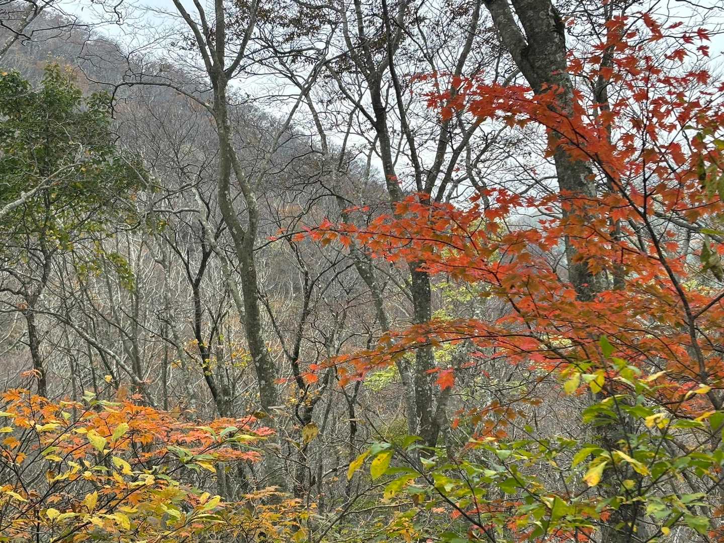 立烏帽子駐車場まであと少し💦