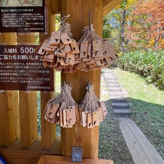 登山道整備に役立つ入域料払って木製キーホルダーゲット
ガイドさんは、普段は登山道整備されてる
整備されて歩きやすい登山道でした👏