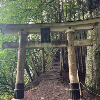 更に一礼して奥宮への３つ目の鳥居を潜ります。