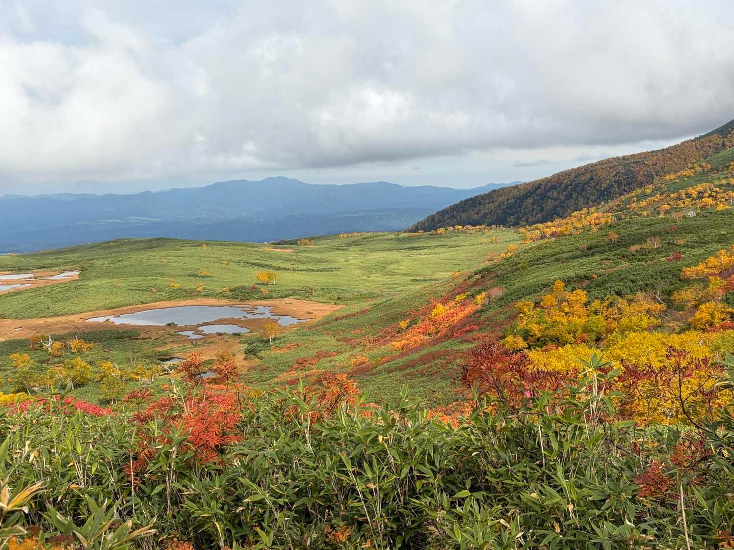 良い景色