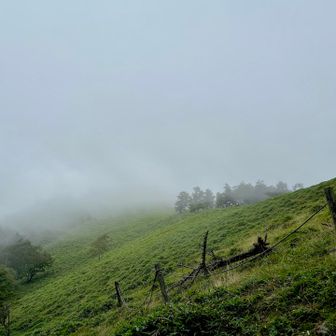 介山荘から下山します