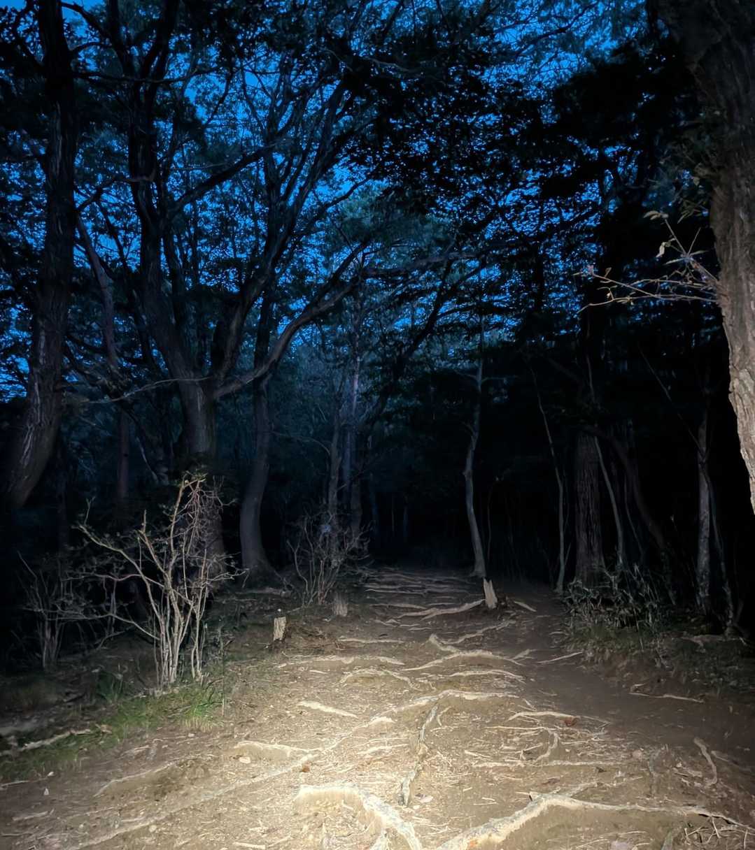 夜明け前の青い空💙