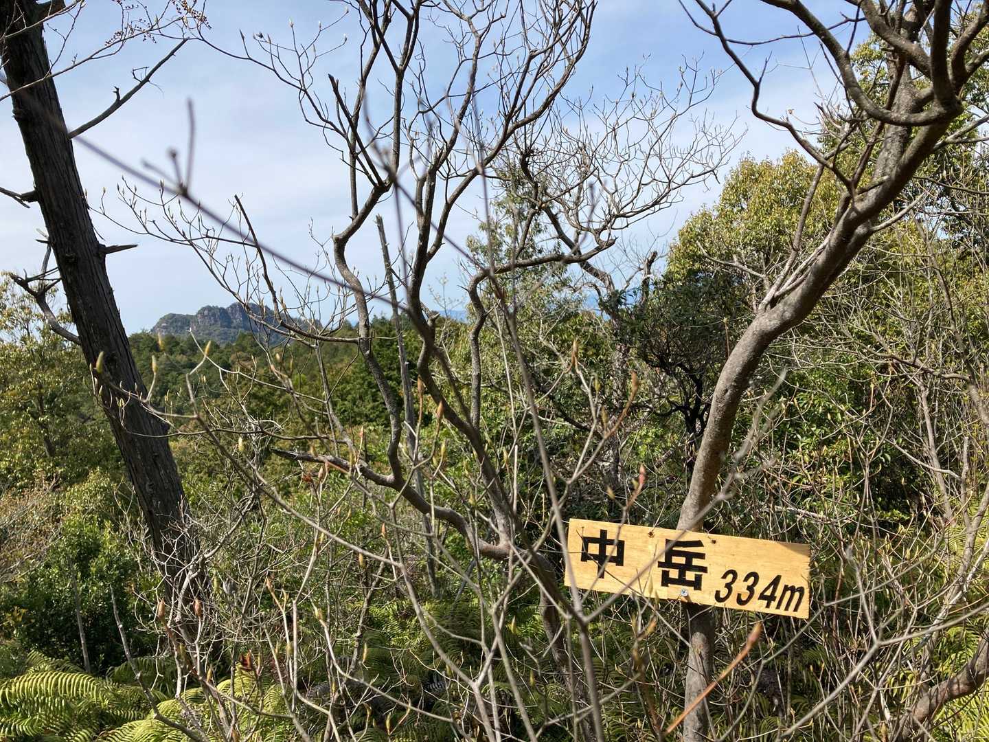 中岳🙌