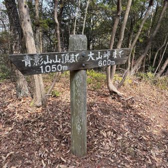 大山峠に向かいます🙂
