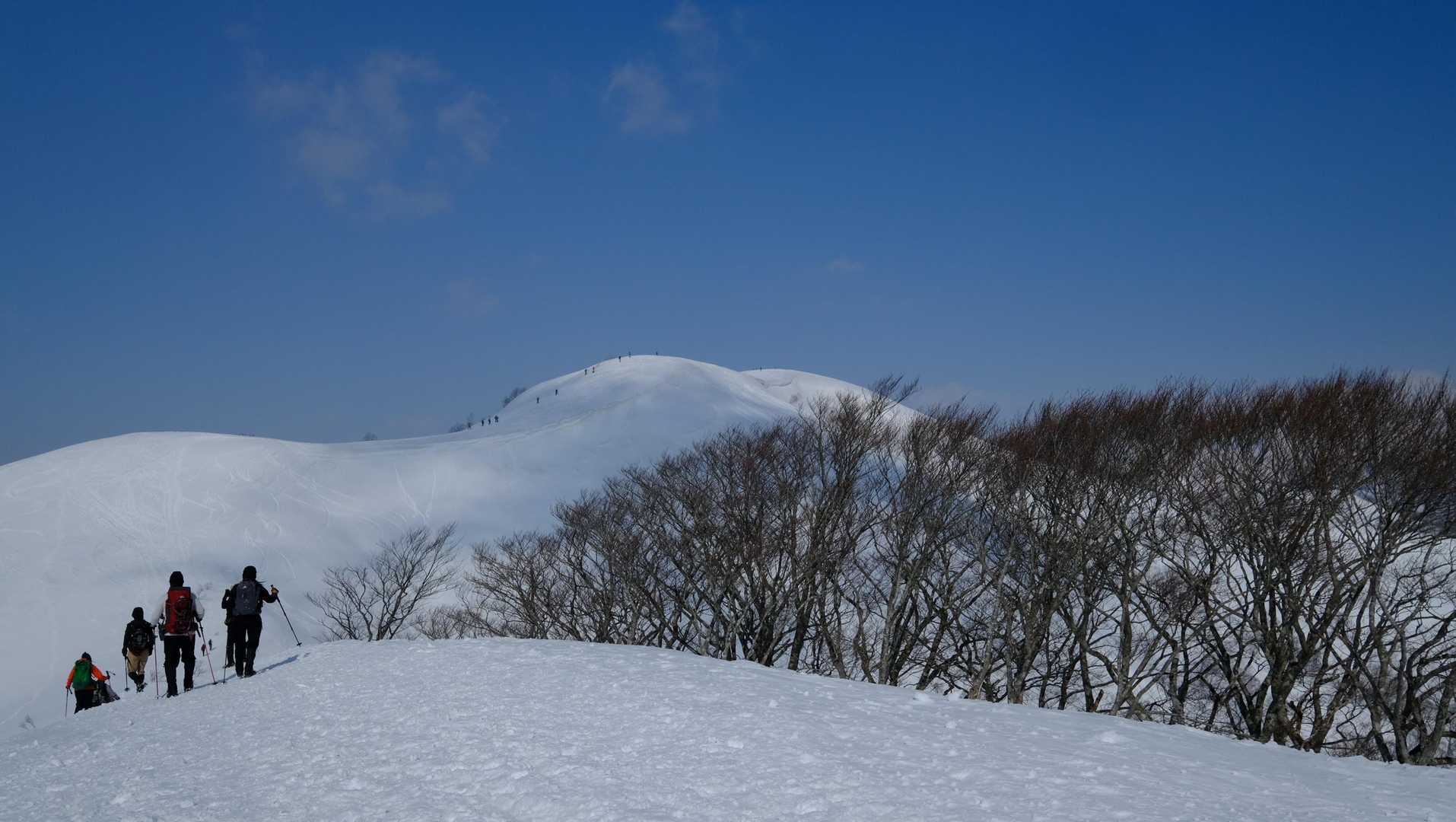 あれが大日ヶ岳の山頂？