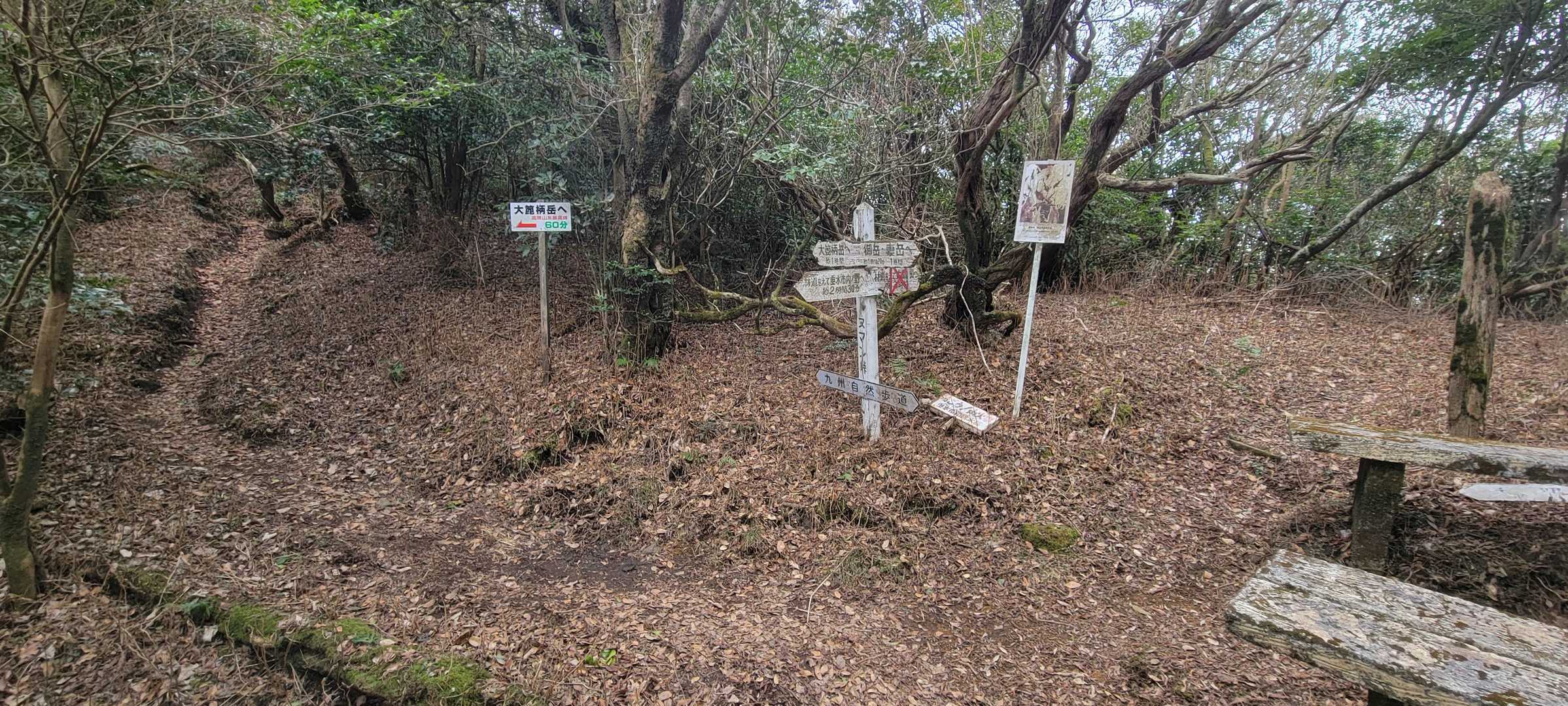 途中にある標識。大箆柄岳まで１時間、御岳まで１時間２０分とあり、歩行目安として分かりやすい。