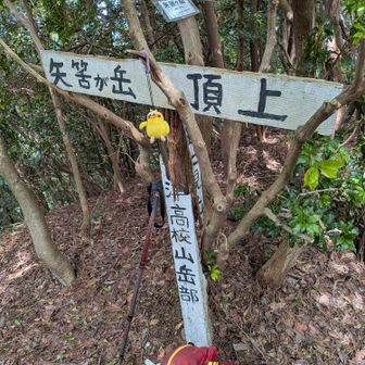 🚩矢筈ヶ岳に登頂です🙌ヽ(=´▽`=)ﾉ
ここもお初♪相棒もお疲れ様💕♪