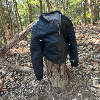 登って左側の切り株に
お店で売ってるように

