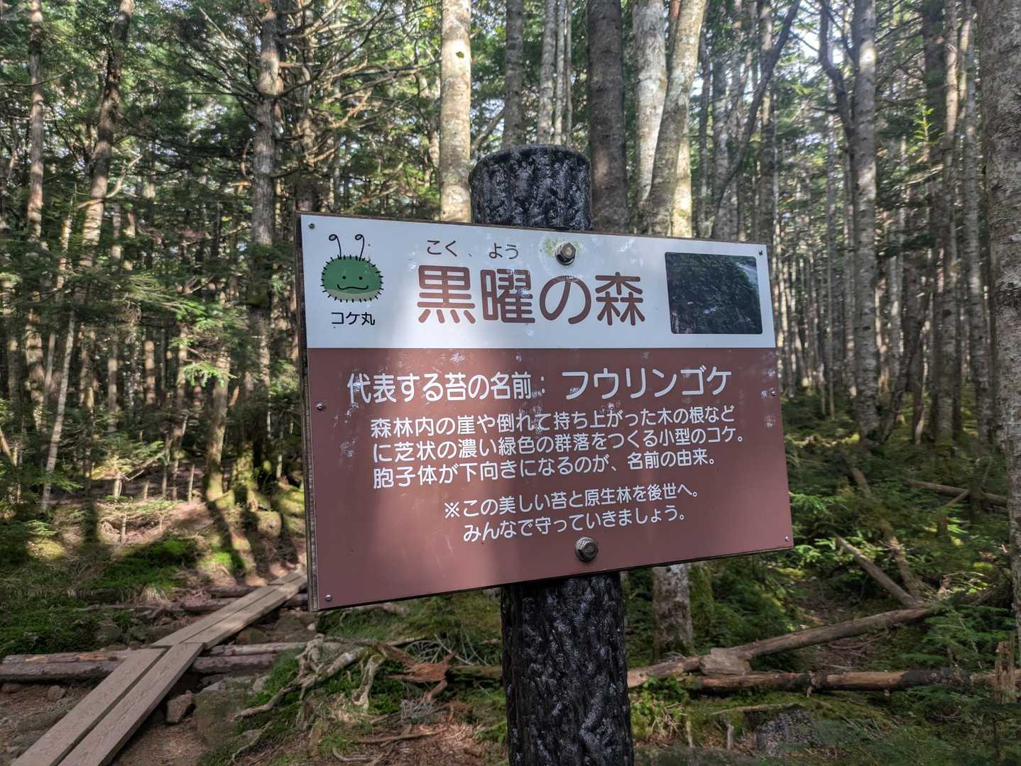 丸山 周回コースの写真