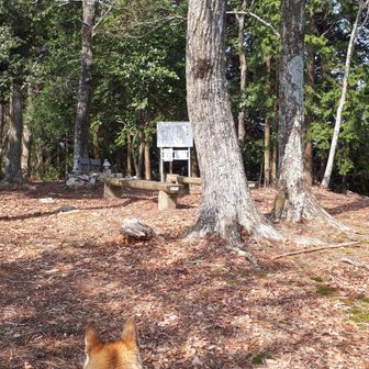 良い感じの城址です。