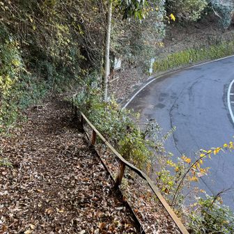 登りの道と合流😆
マップ見ると合流ポイントがズレてるが、
ま、気にしない😌