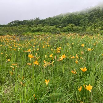 やっと沼に到着
咲いてます♪