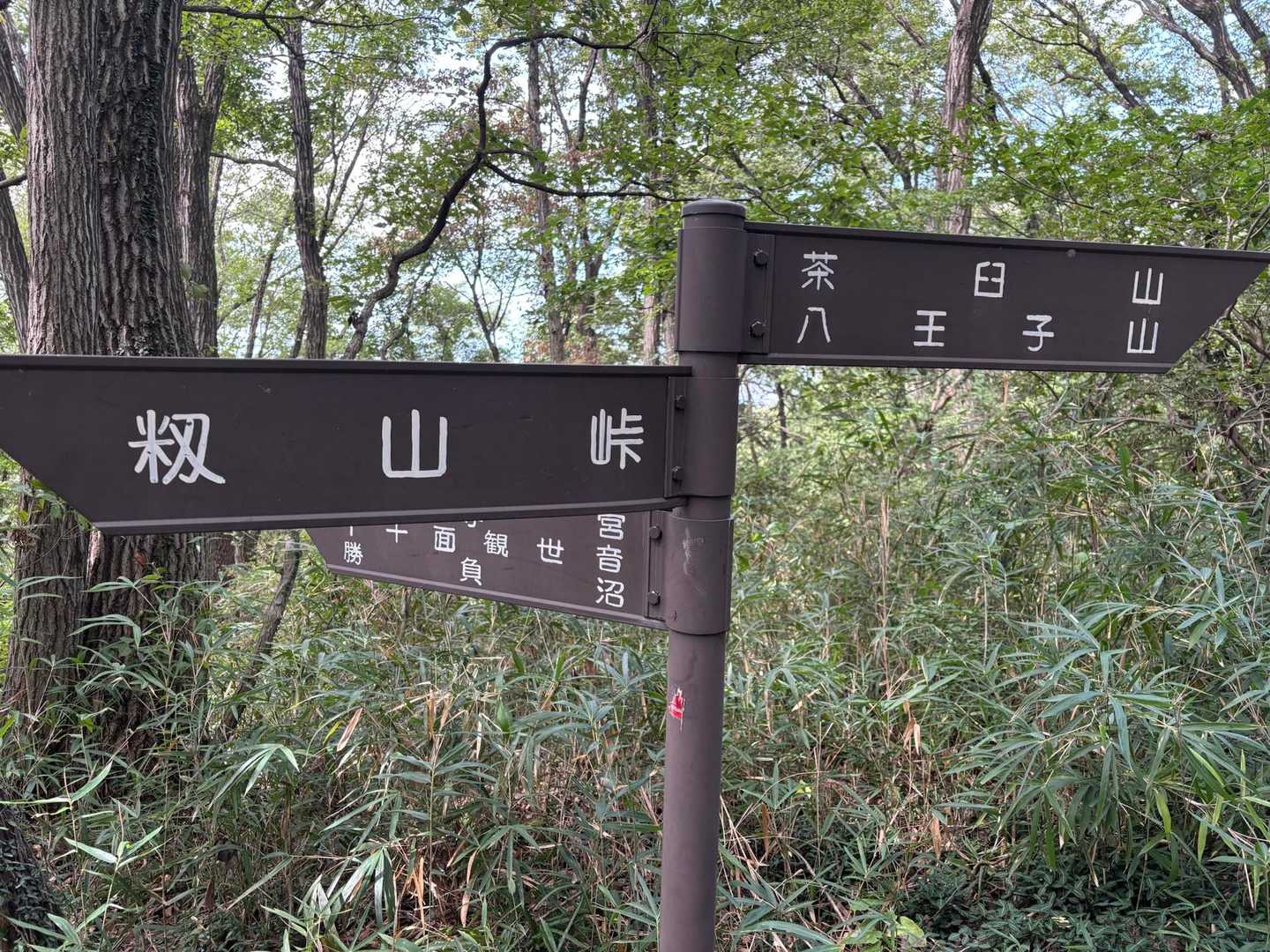 籾山峠-茶臼山 往復コースの写真