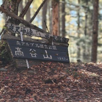 のんびり歩いて１５分ほどで高谷山到着👣