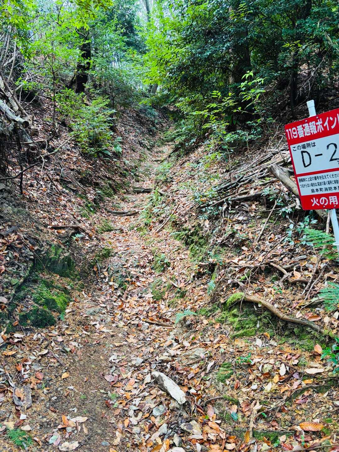 磐手橋バス停-若山-若山神社 縦走コースの写真