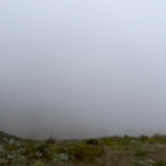 ガスで先か全く見えない