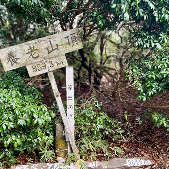 養老山山頂に到着！
が！木に囲まれて展望なし！