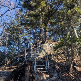 しっかり登山道