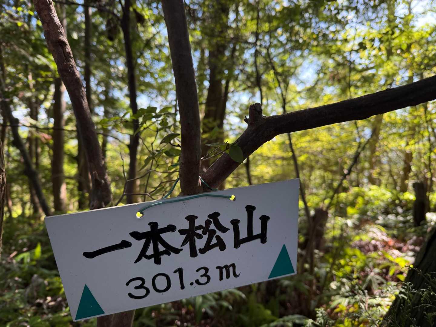一本松山-鉄塔-大日山 周回コースの写真
