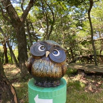 可愛い置物がいっぱいありました🦉