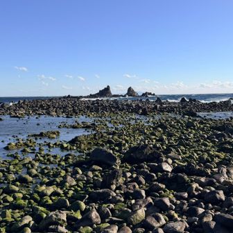 行けそうな気もするけど止めておこ🚶
