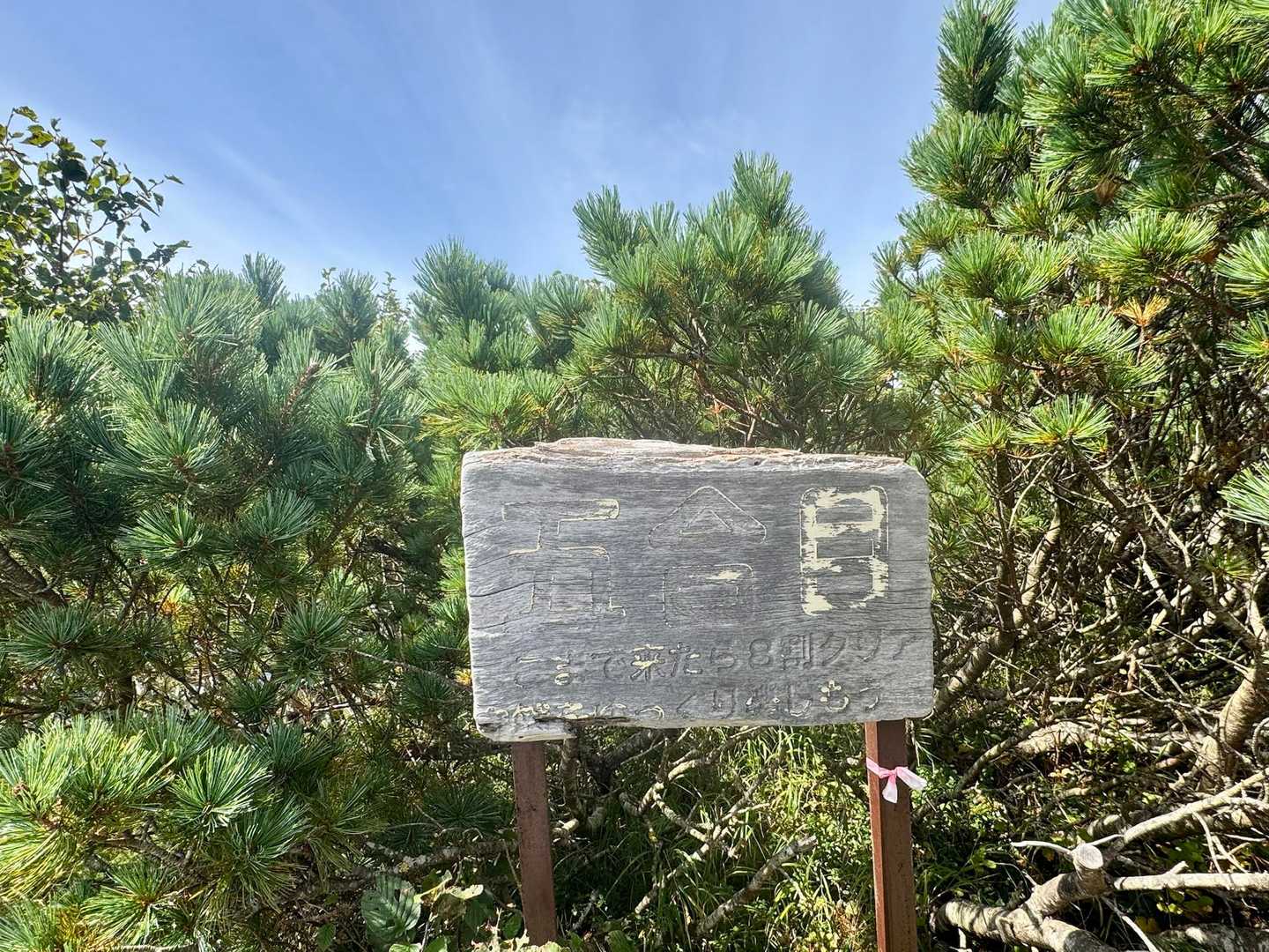 5合目の看板の下部には「ここまで来たら8割クリア」と書かれてる。
5合目って、半分ではないのか？
合目の概念が全く分からない😓
