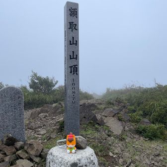 相棒も初登頂*\(^o^)/*