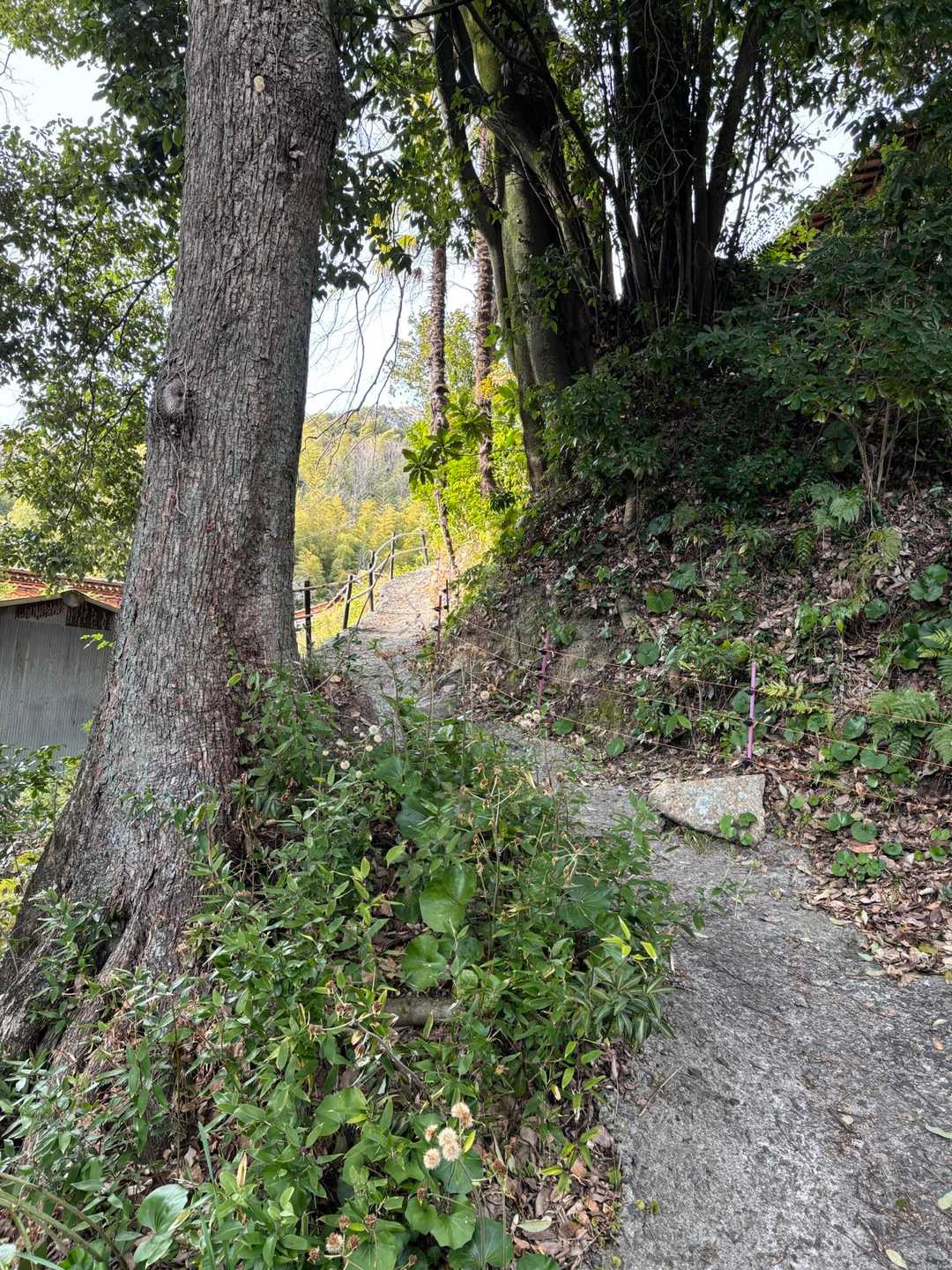 登山口までおりてきました。
