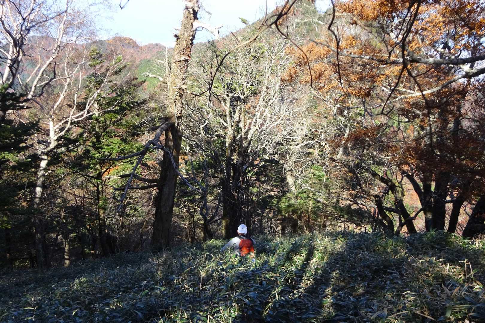 ゆっくりする間もなく黒森山へ向かいます!激下り💦