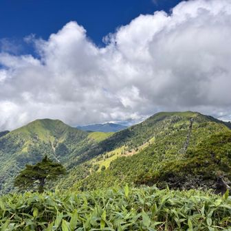 三角点から
剣山と次郎笈の間に三嶺が見える絶景
前回は真っ白だったので嬉しや🥰