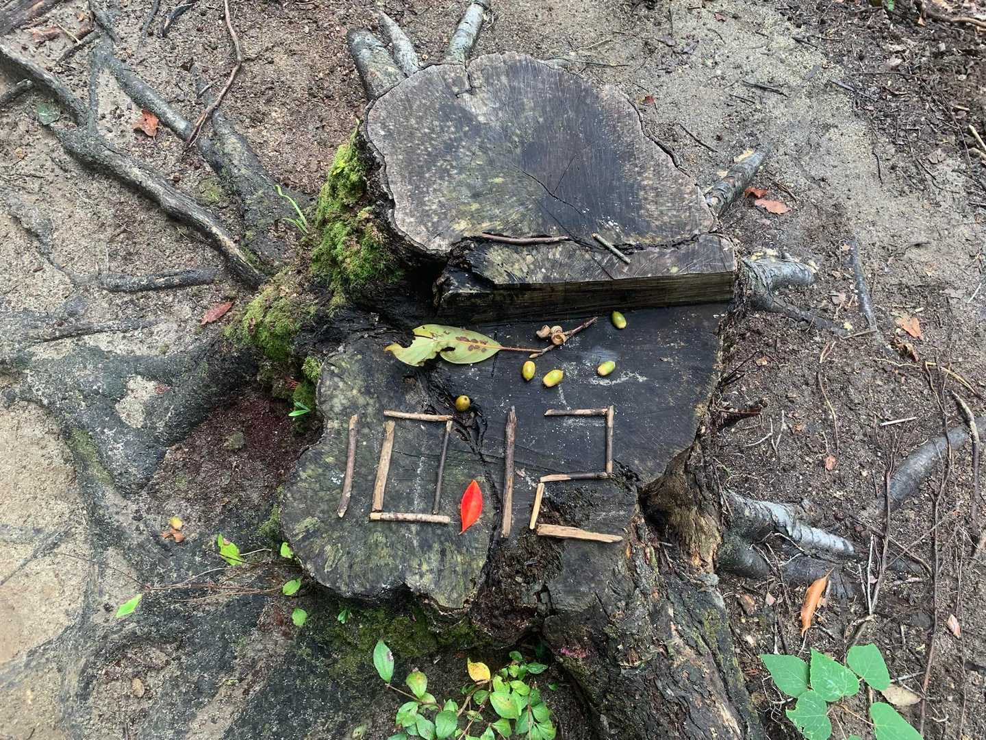 少し調整しました😊