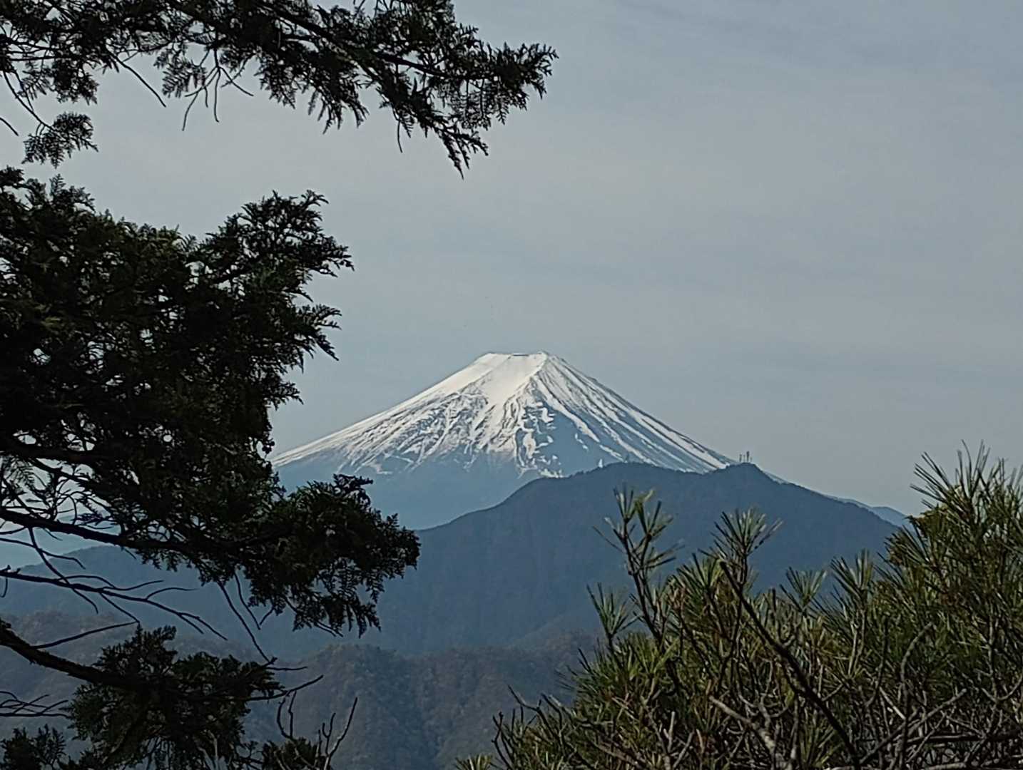 滝子山-大谷ヶ丸-コンドウ丸-曲り沢峠 周回コースの写真