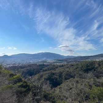 左奥に、甲山が見えます🧐