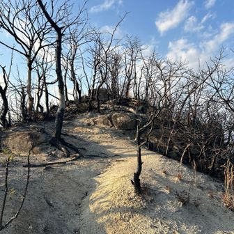 青空なのに、哀しい山頂