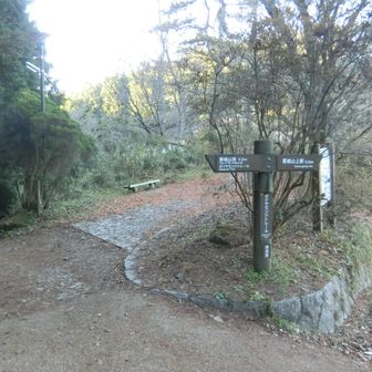 帰りはここから左へ行って駐車している青崩へ下ります。