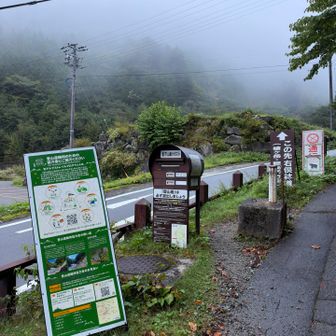 山間部の朝は大体ガスりますね