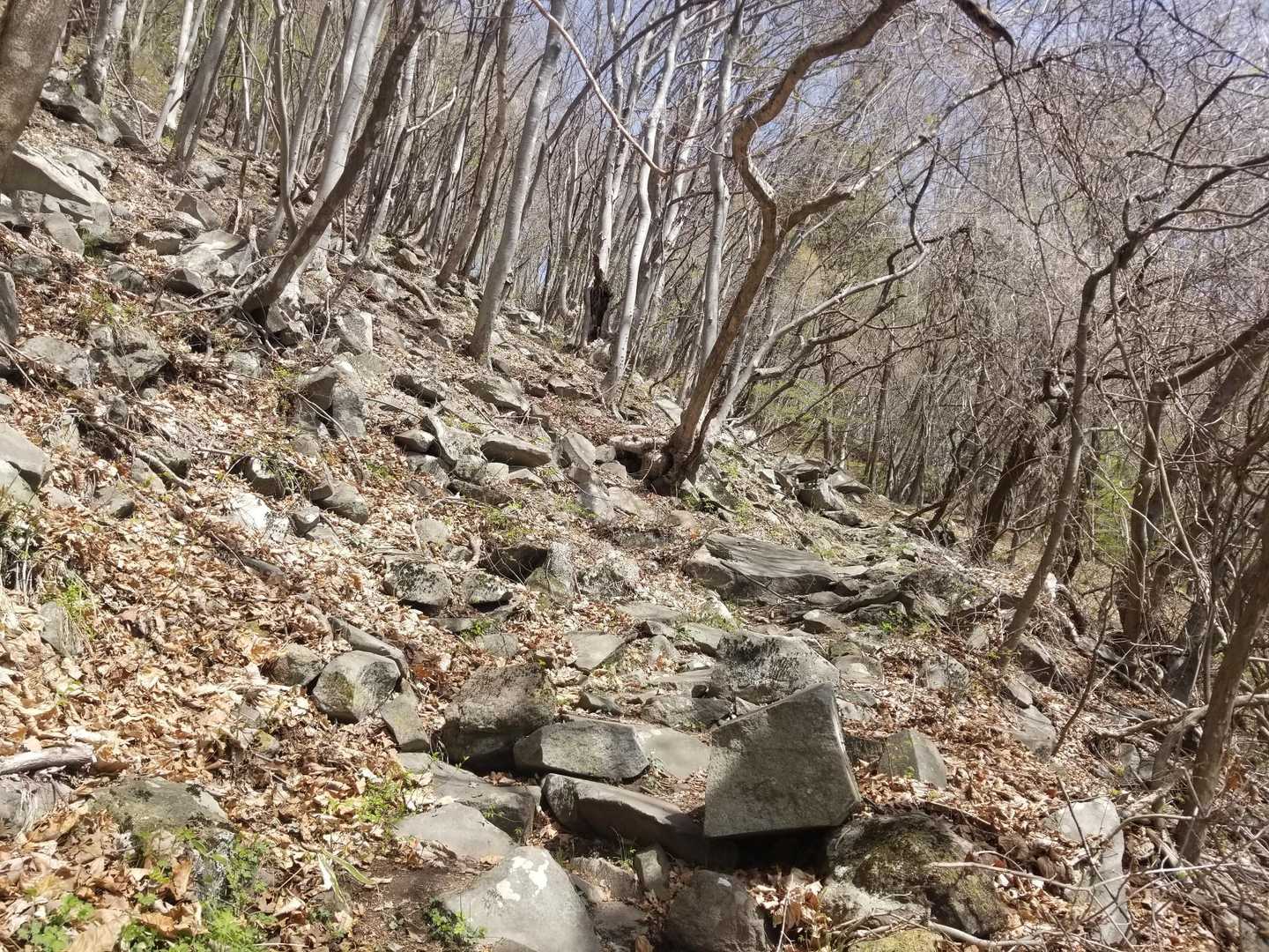 ちょっとだけ岩ゾーン。