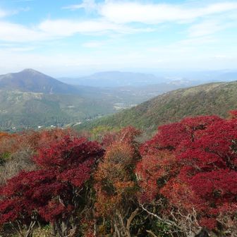 黒岩山/山頂から涌蓋山