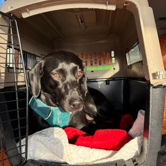 よく走ったワン😊