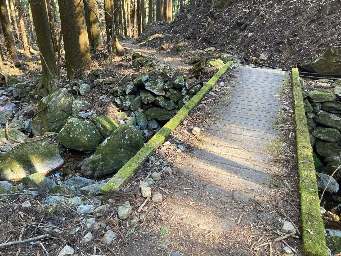 降りてきたら、沢筋な雰囲気になりました。
この水が滝になるのかなあ？
それにしても今日はけっこうあったかい。ほんとに滝、凍ってるのかな？と、不安になってくる。