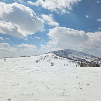 空気綺麗で、手が届きそう