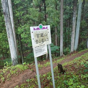 登ります