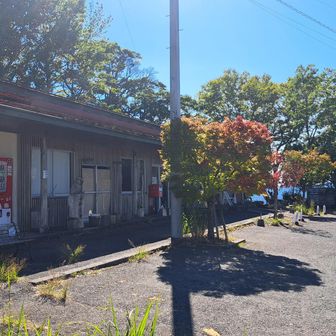 先日の登山で気になっていた別所駐車場にあるHIKONIWAさんで腹ごしらえ！