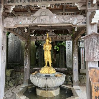 ザルでお金洗っとくー！