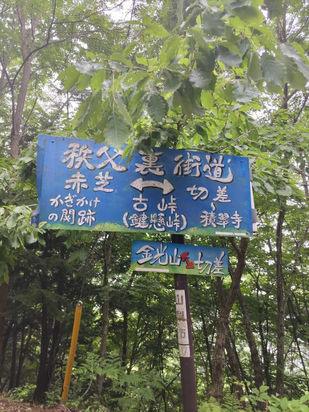 古峠-金光山-八幡山 往復コースの写真
