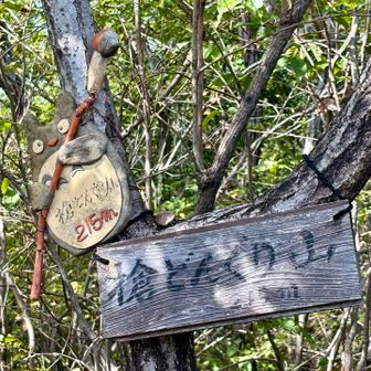槍どんぐり山の山頂標識。