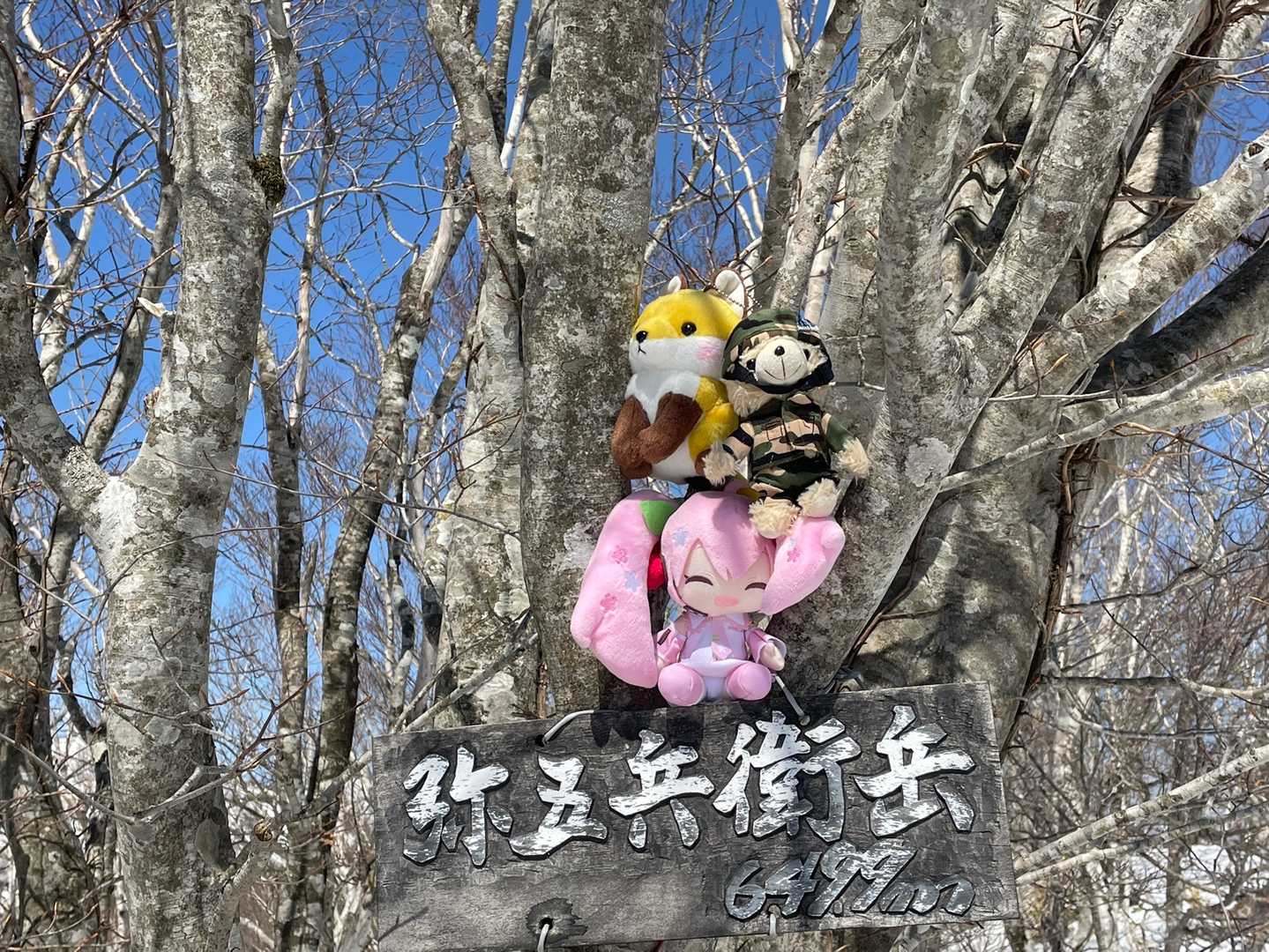 到着🏔